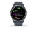 Garmin Venu 2, GPS Smartwatch with Advanced Health Monitoring and Fitness Features, Silver Bezel with GraniteBlue Case and Silicone Band 15